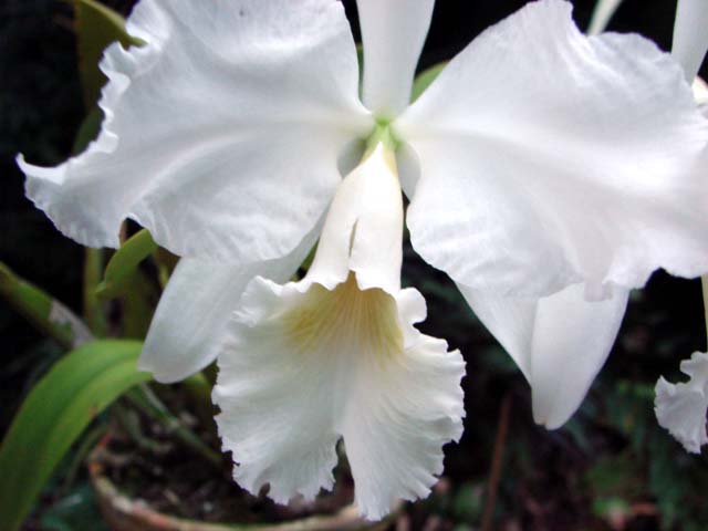 d0007501_21495025.jpg