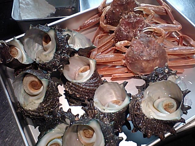 d0113301_16412991.jpg