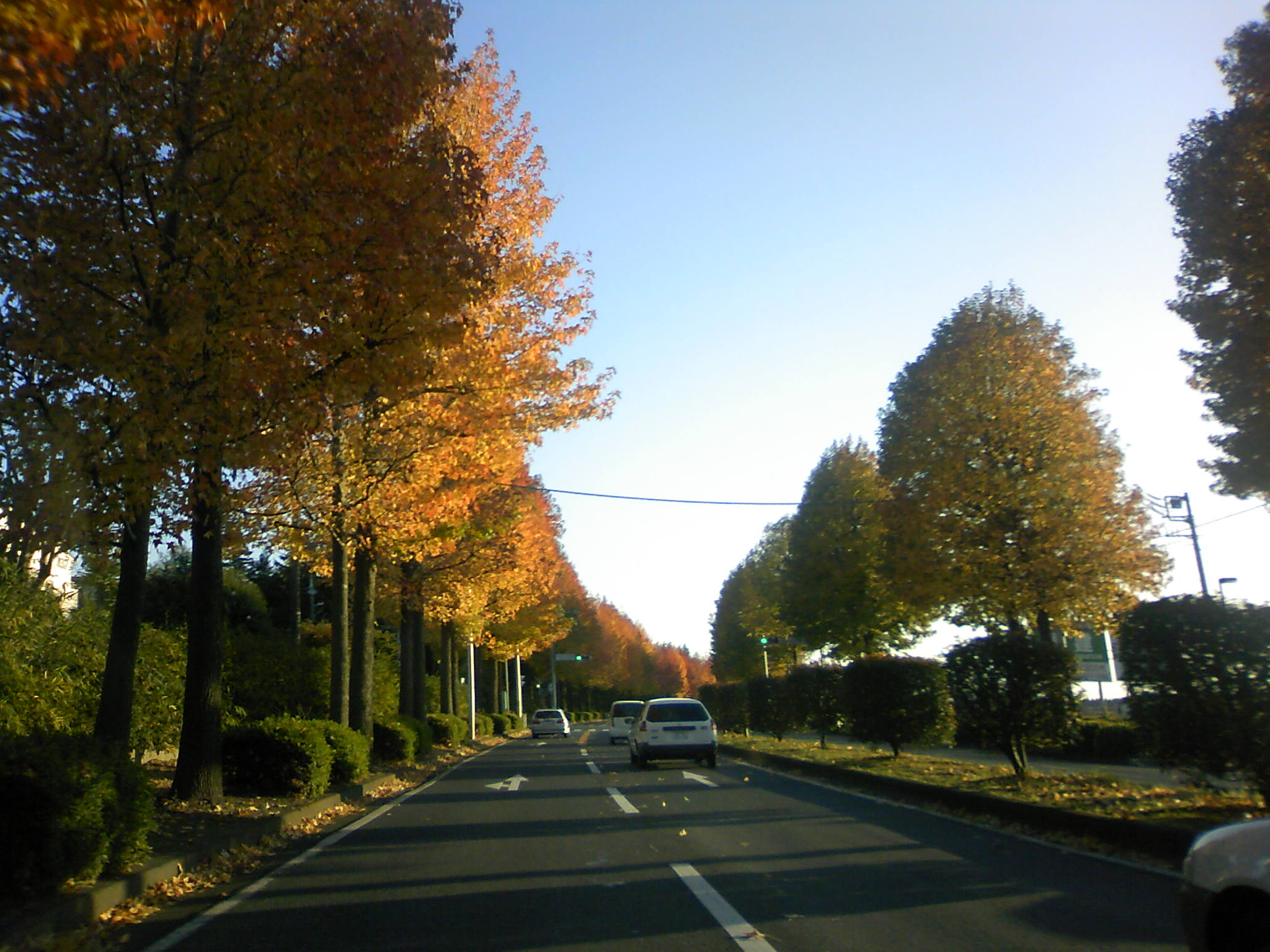 b0116902_710137.jpg