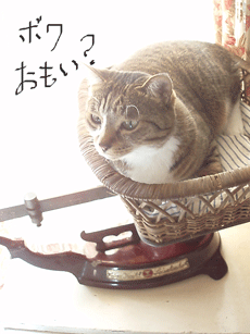 c0129702_13325114.gif