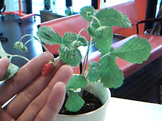 c0037103_1853933.jpg