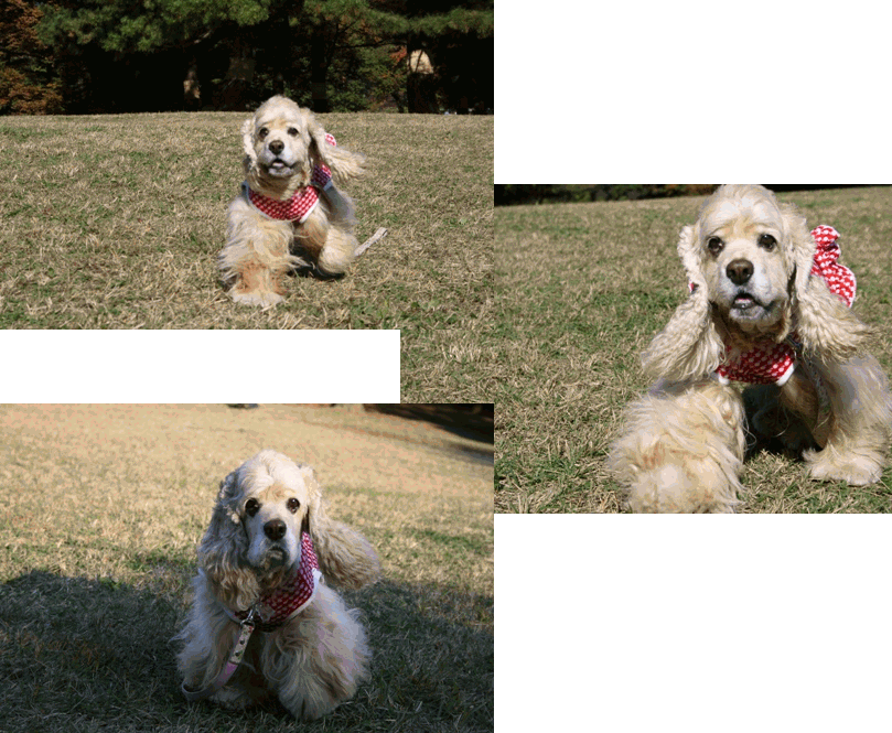 c0128303_22255271.gif