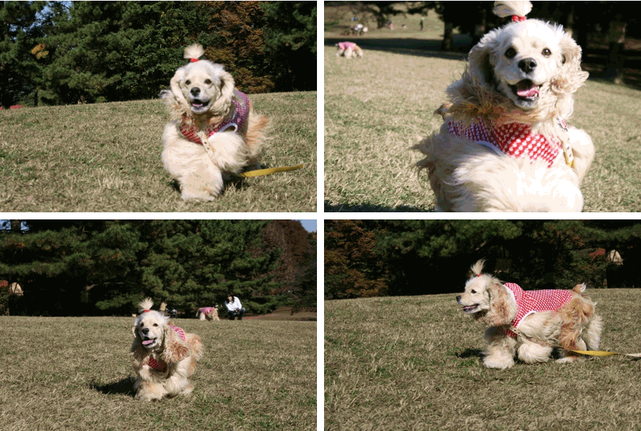 c0128303_22261842.gif