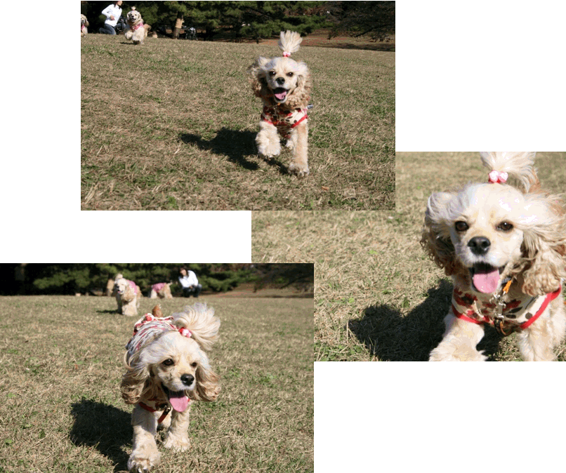 c0128303_2234972.gif