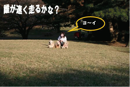 c0128303_22362359.gif