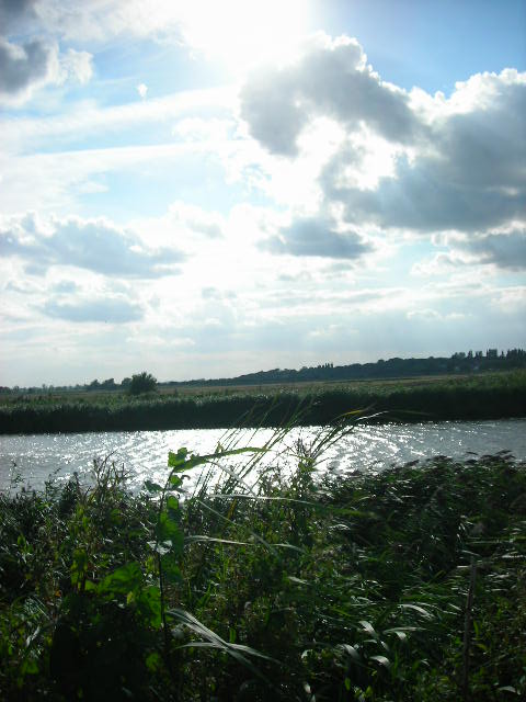 e0160905_771959.jpg