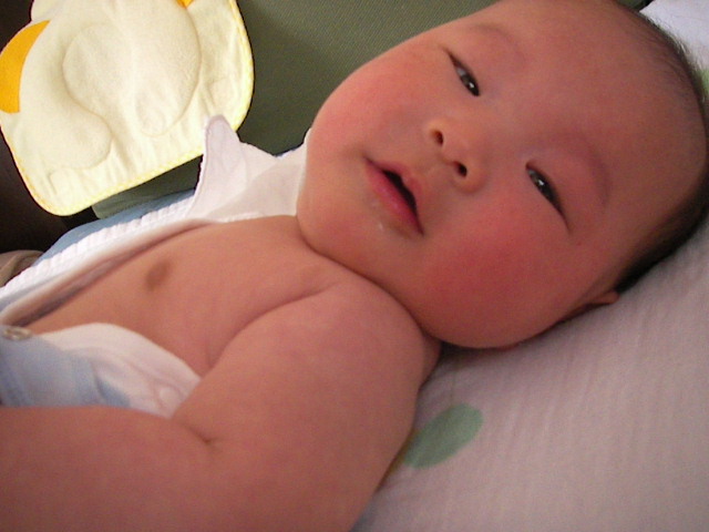 f0038407_1055924.jpg