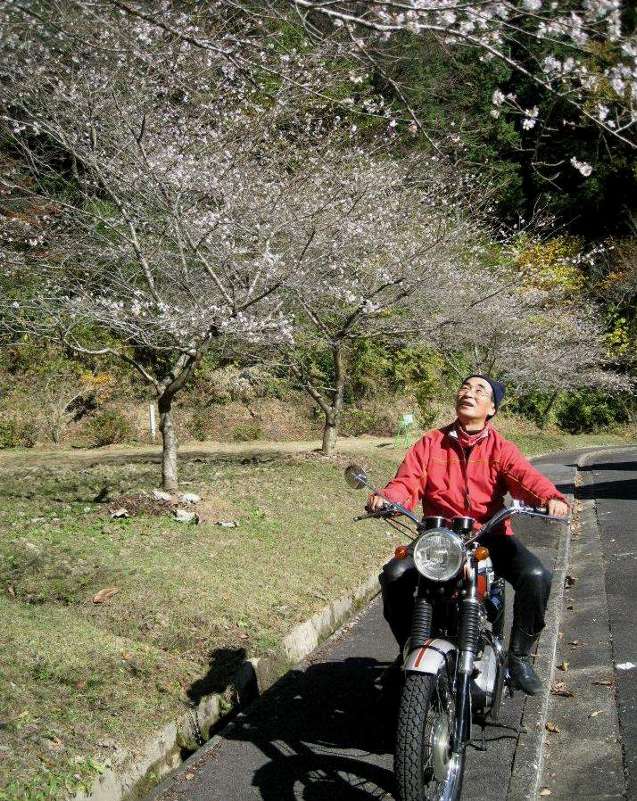 今年も　雲見　にTriumph　の集まる季節が来た。_e0003910_18504510.jpg