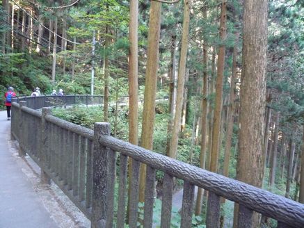 e0016412_21194922.jpg