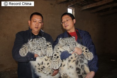 中国の動物ってやつは_c0025115_22104574.jpg