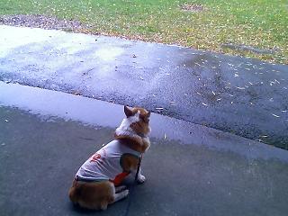 Rainy day_e0147716_3121129.jpg