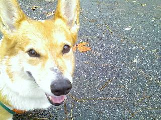 Rainy day_e0147716_3133885.jpg