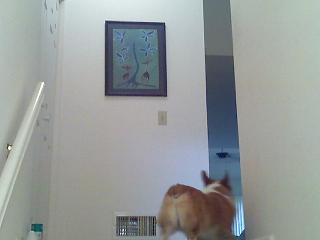 Rainy day_e0147716_3152956.jpg