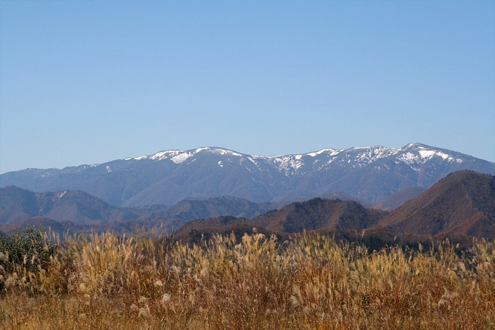 d0012134_17294625.jpg