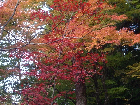 f0040734_22211785.jpg