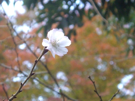 f0040734_22213039.jpg
