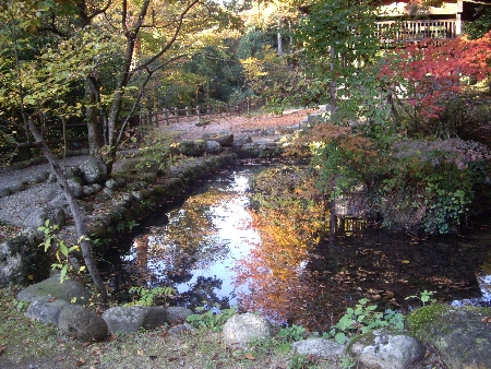 f0040734_22223084.jpg