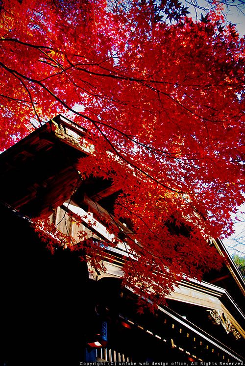 角館～福乃友酒造（大仙市神宮寺）_c0176838_115699.jpg