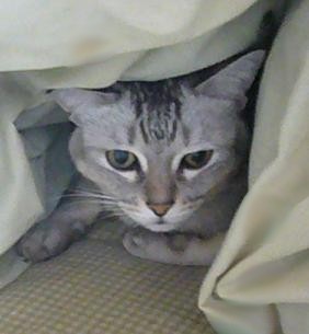 寒くなってきてから_f0002743_839646.jpg
