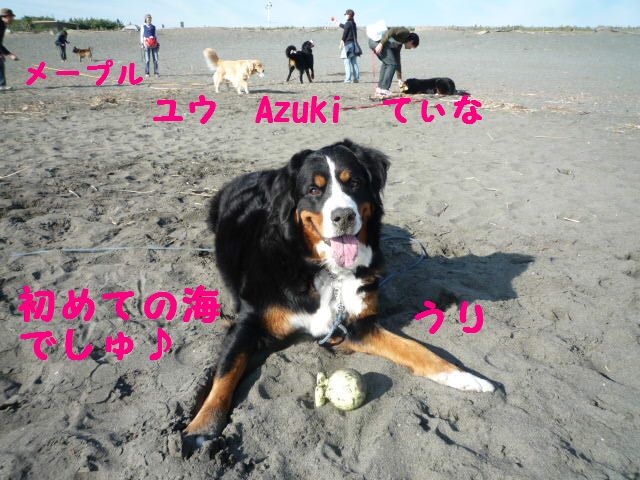 a0108146_20365025.jpg