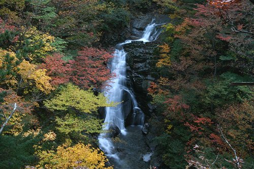 遅報 安達太良山 湯川渓谷 想恋の滝 963 77 遅報 安達太良山 湯川渓谷 想恋の滝 963 77