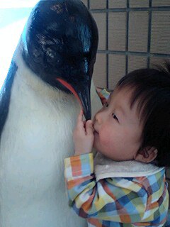 BEBE・・・ペンギン化?_a0089450_21282022.jpg