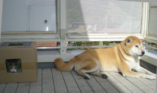 2008年11月14日(金)もうすっかり自然体!_f0060461_1450121.jpg