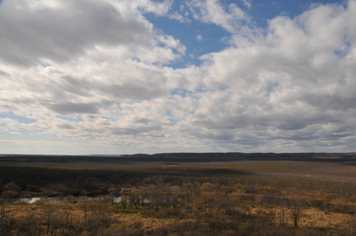 e0153062_31079.jpg