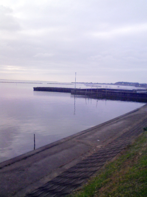 f0139466_17164842.jpg