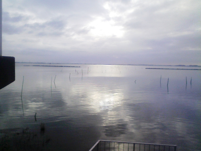 f0139466_171729.jpg
