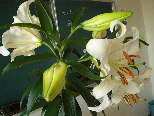 b0149867_18103684.jpg