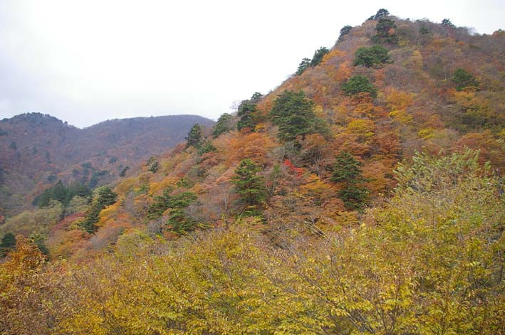 シリーズ：秋の利根川紀行―水源の森を訪ねて―第４回_c0014967_8505865.jpg