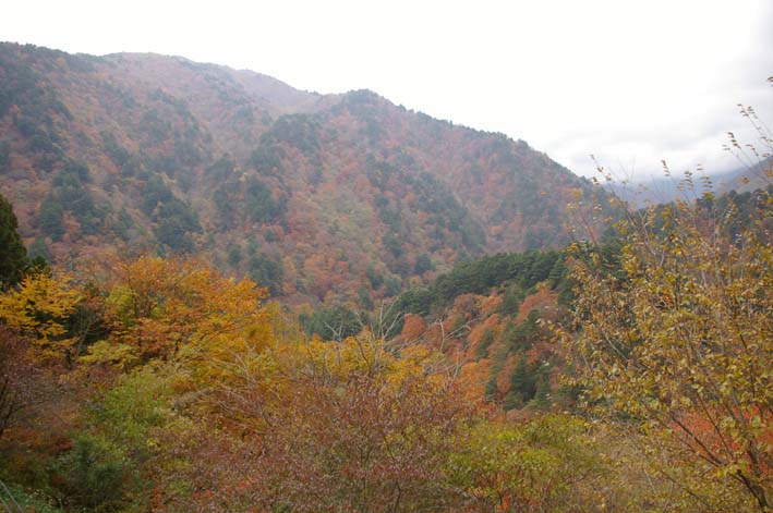 シリーズ：秋の利根川紀行―水源の森を訪ねて―第４回_c0014967_8511790.jpg
