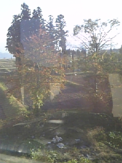 c0126170_1531567.jpg