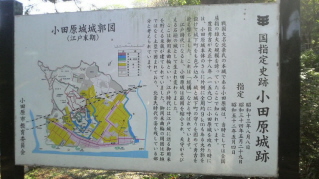 e0033570_17453650.jpg