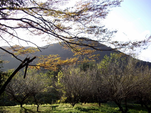 f0182571_2052651.jpg