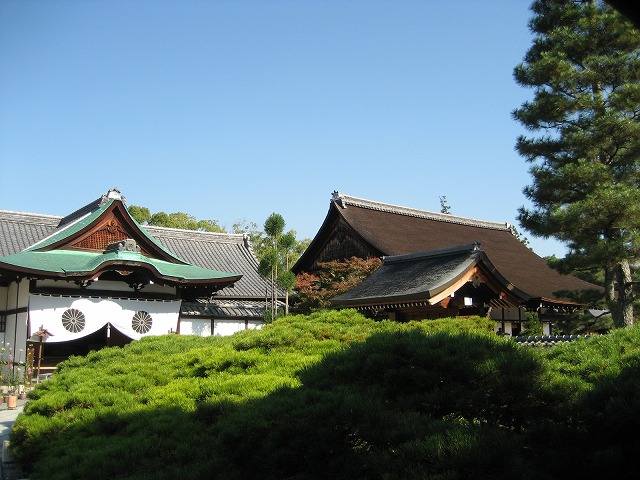 e0106372_1954143.jpg