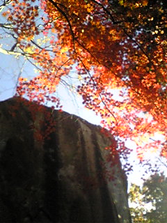 f0198376_23272453.jpg