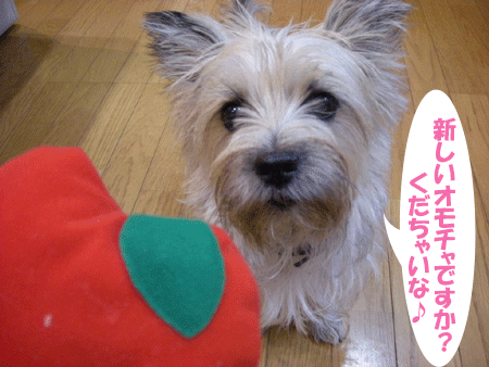 e0066883_20424221.gif