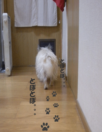 e0066883_20482562.gif