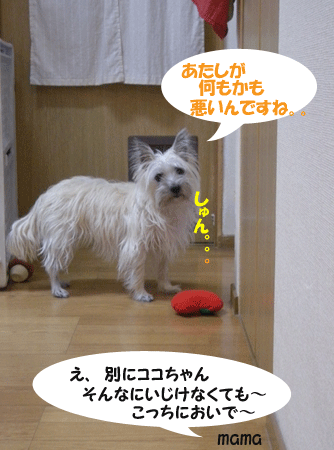e0066883_20493663.gif