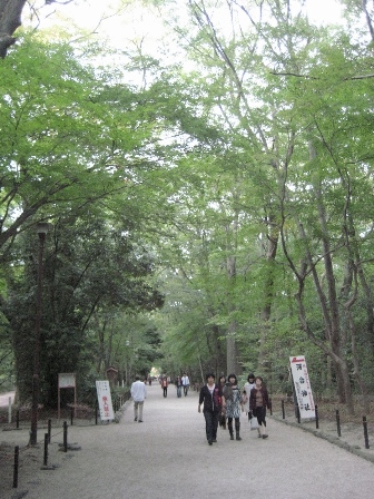 世界遺産下鴨神社_f0146587_1743589.jpg