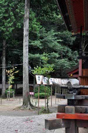 七五三　六所神社へ_b0061588_637218.jpg