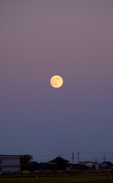 d0088788_06529.jpg