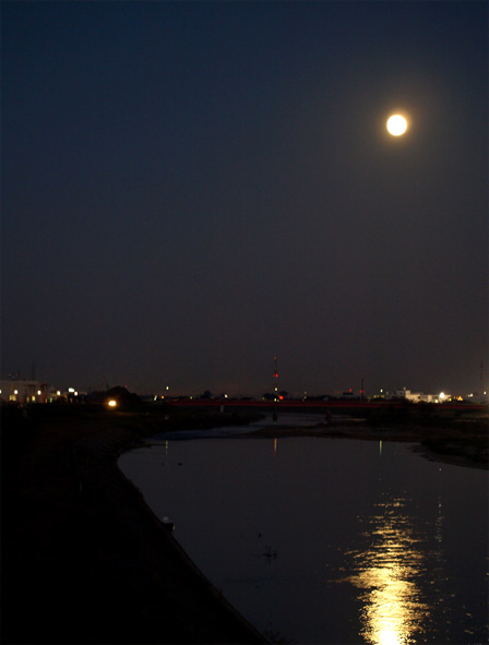 d0088788_07064.jpg