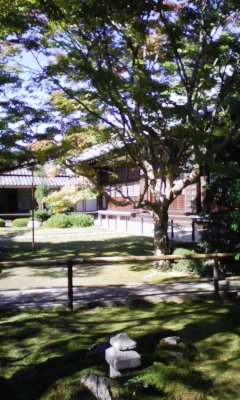 f0168392_2330312.jpg