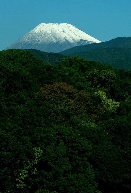 c0165301_8563540.jpg