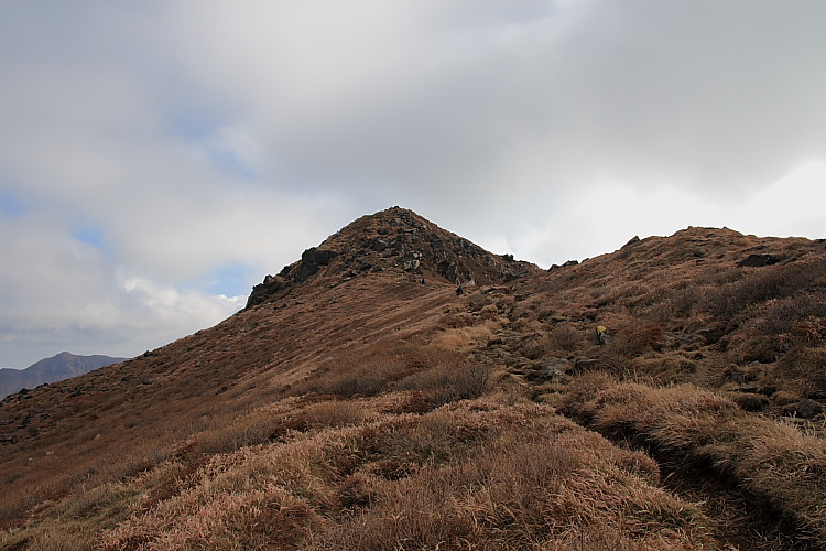 f0130601_22494022.jpg
