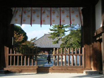 まぼろしの大寺：西大寺堂宇を巡る_f0120102_18561110.jpg