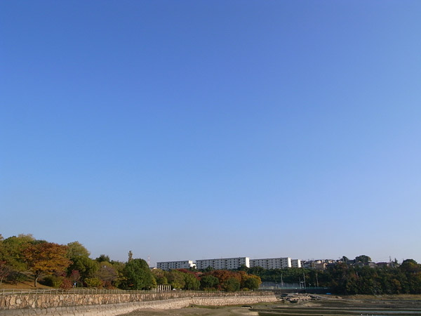 c0067303_2134561.jpg